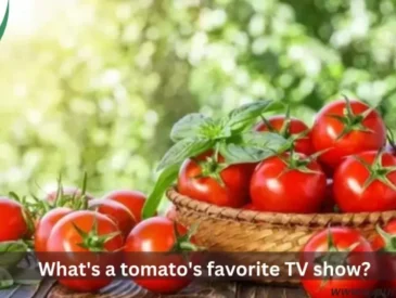 Tomato Jokes One-Liners for Adults