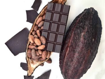 Chocolate Beans: The Heart of Chocolate