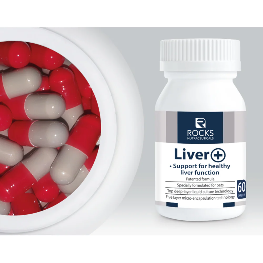 Liver Rocks: A Guide to Keeping Your Liver Healthy and Strong